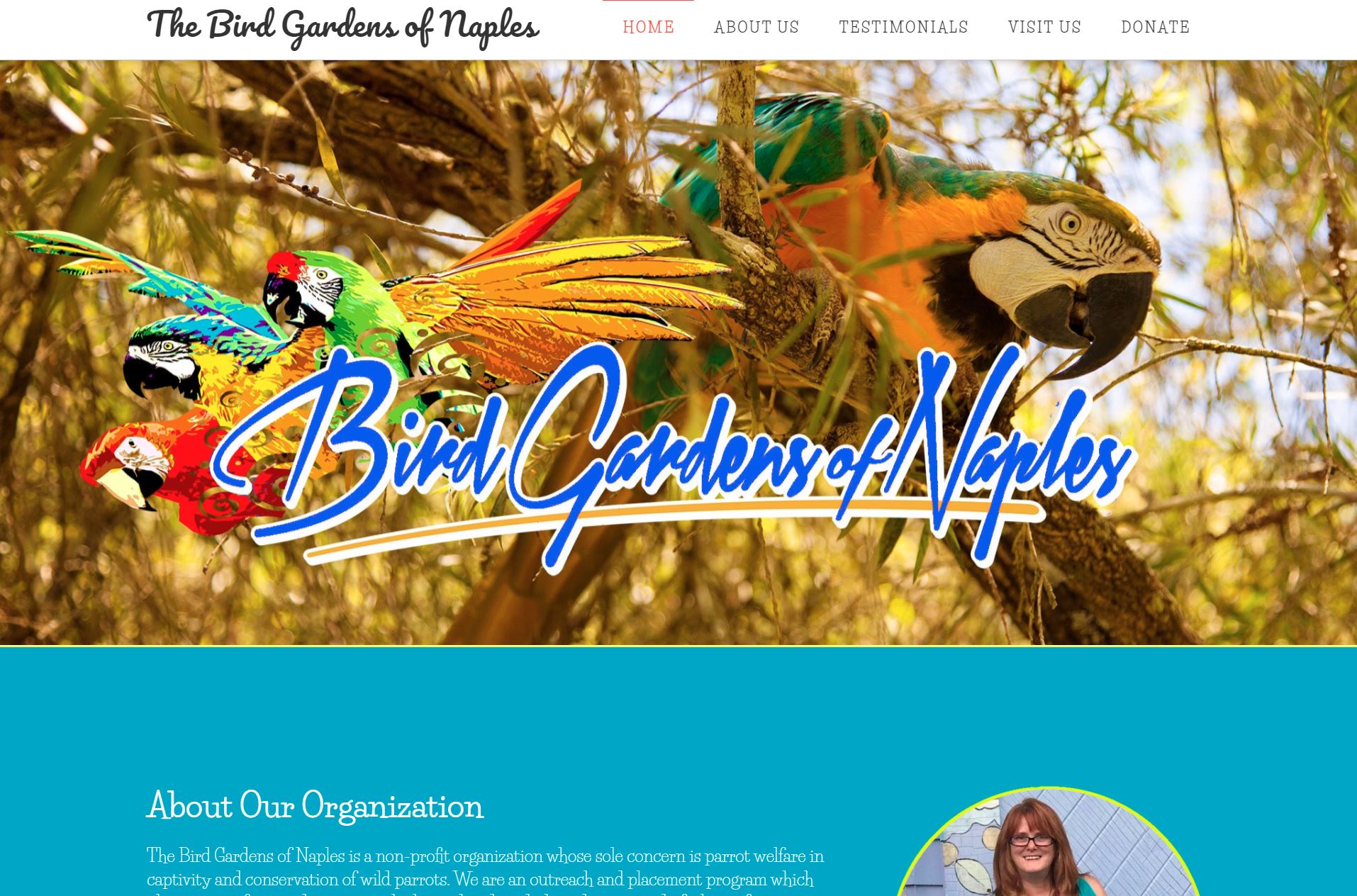 Blackfrog Agency Image